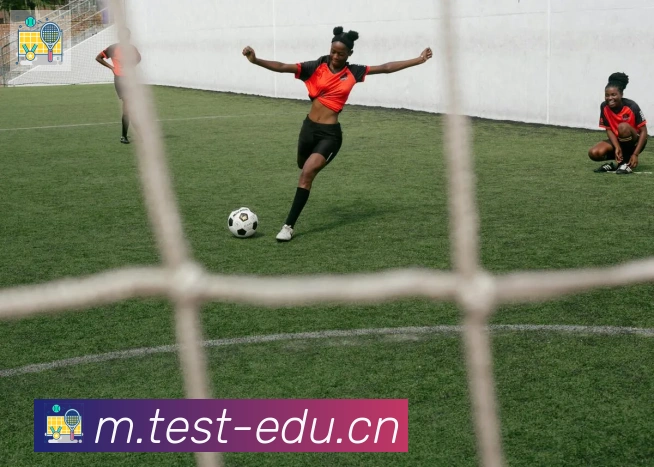 爱游戏体育官方网站荣誉