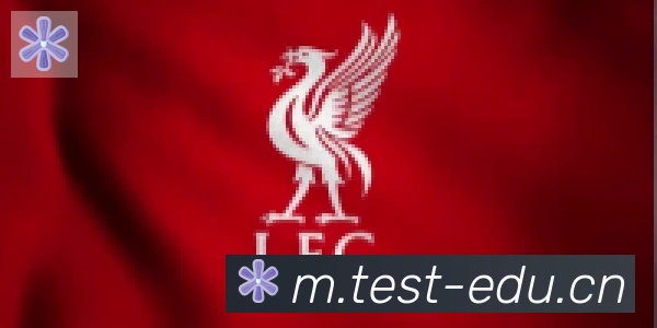 爱游戏体育官方网站合作伙伴