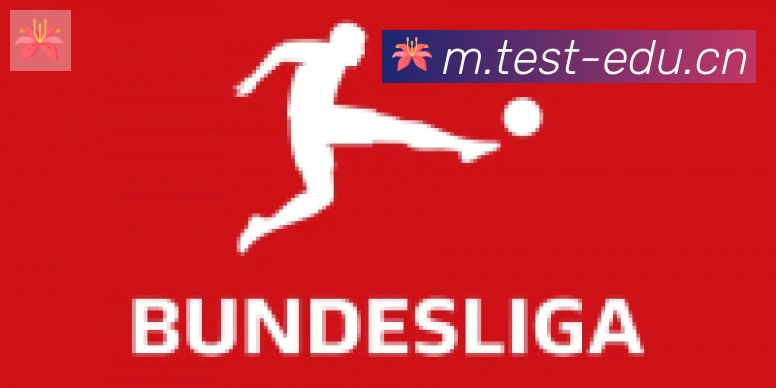 爱游戏体育官方网站合作伙伴